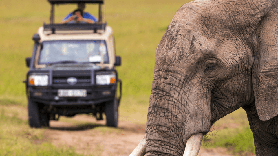 travel vaccines africa