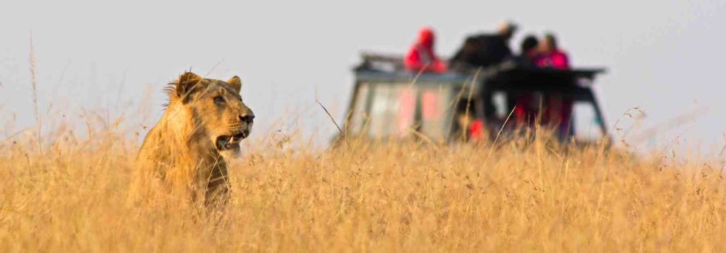 Ensure that you are fit for travel at South Manchester Travel Clinic